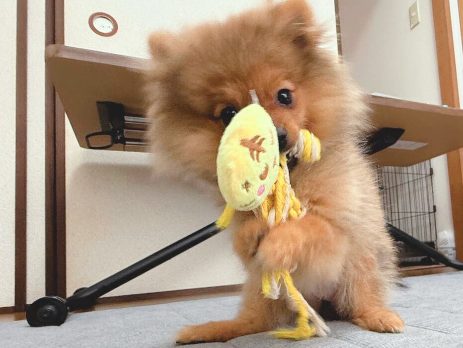 ブログ画像
