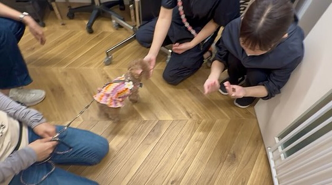 ブログ画像
