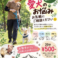 ブログ画像